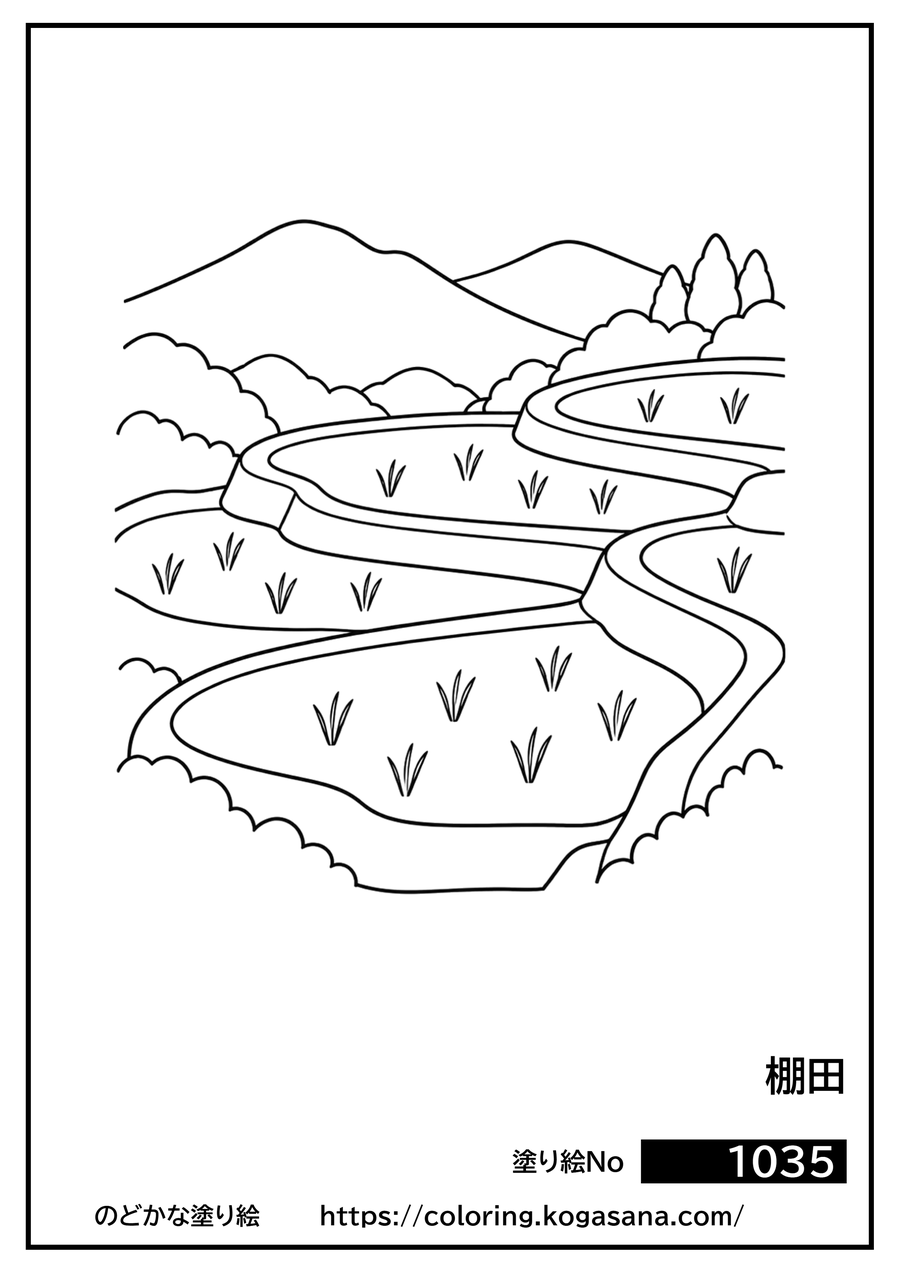 棚田の塗り絵