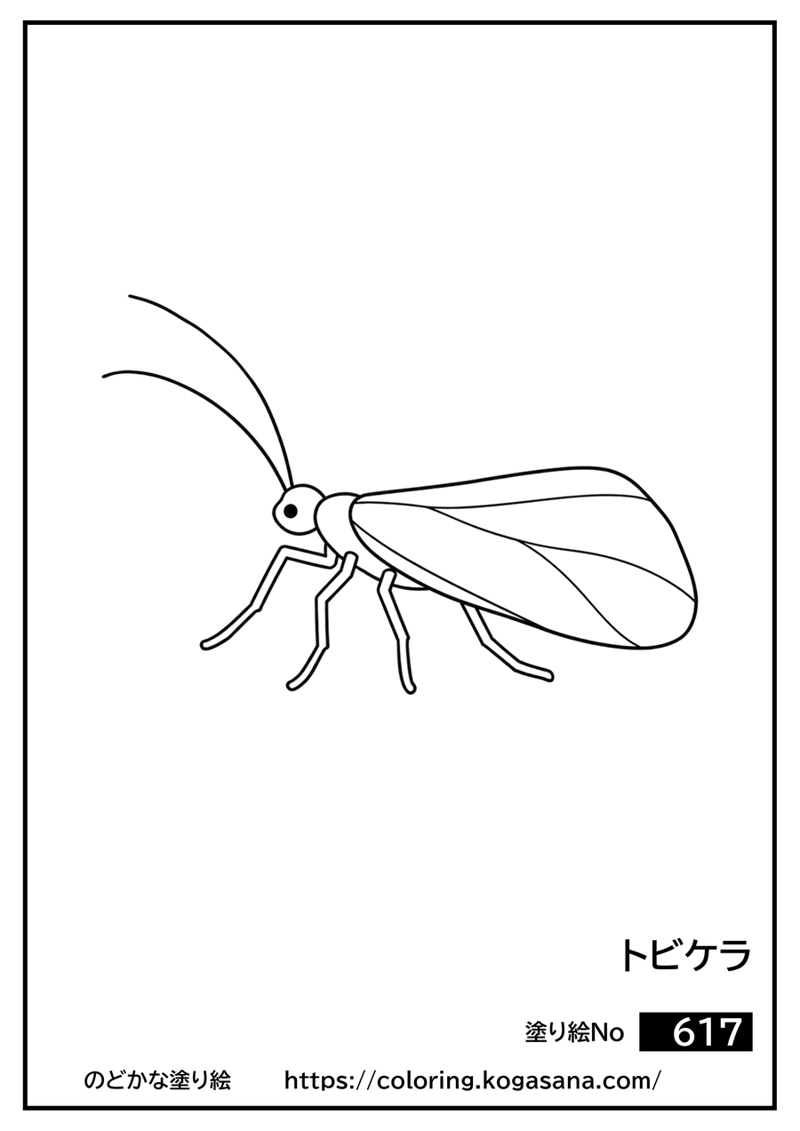 トビケラの塗り絵