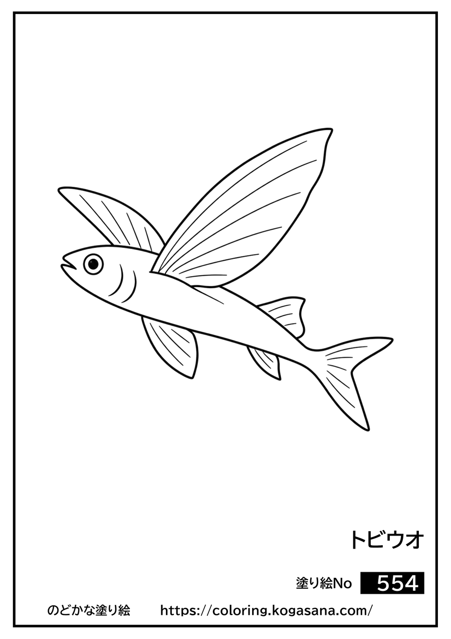 トビウオの塗り絵