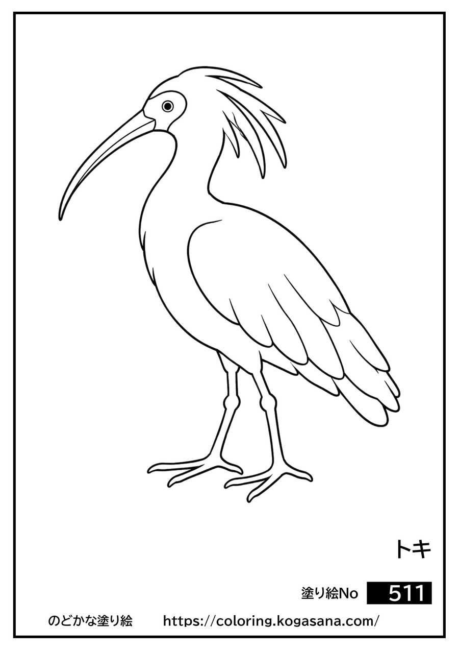 トキの塗り絵