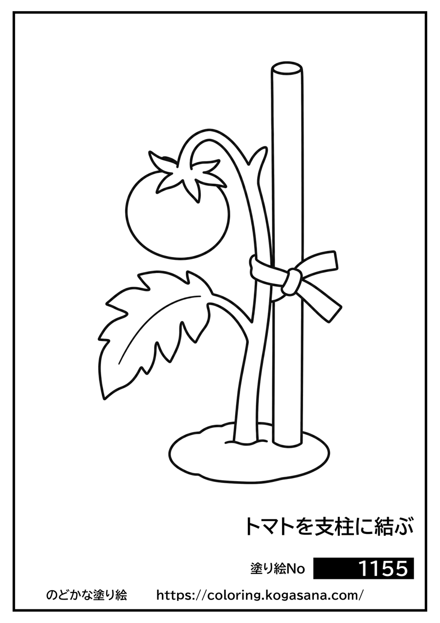 トマトを支柱に結ぶの塗り絵