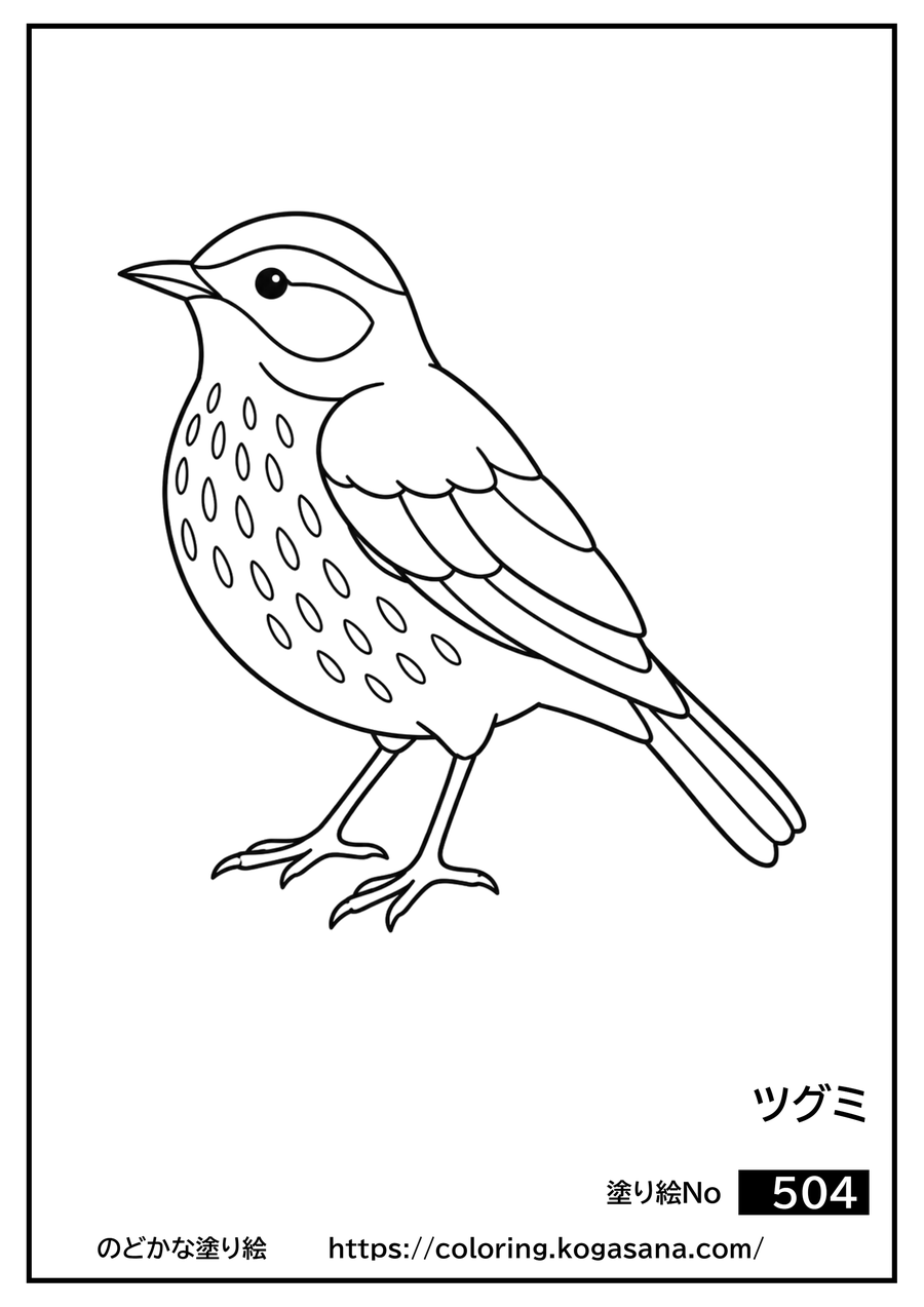 ツグミの塗り絵