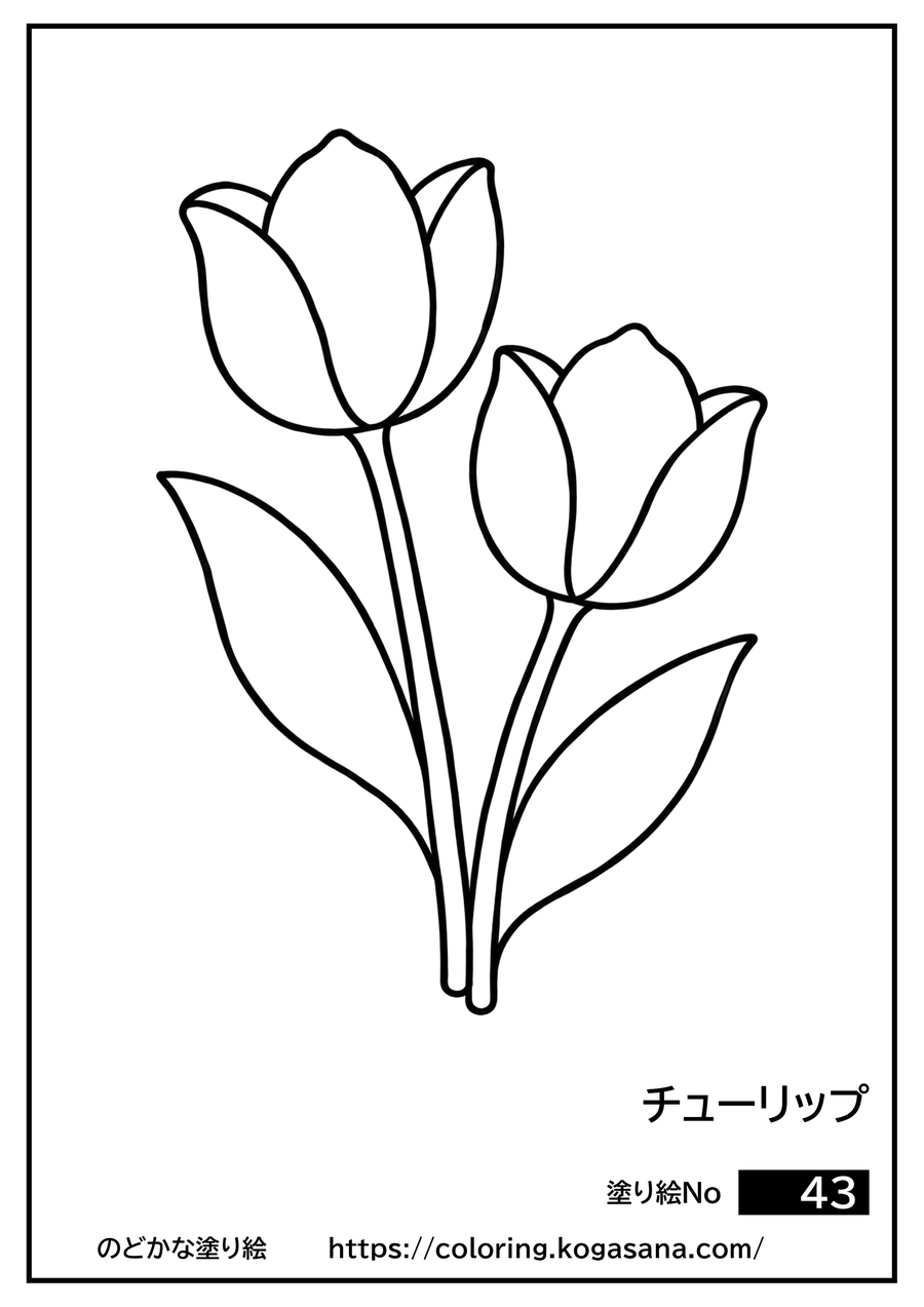 チューリップの塗り絵