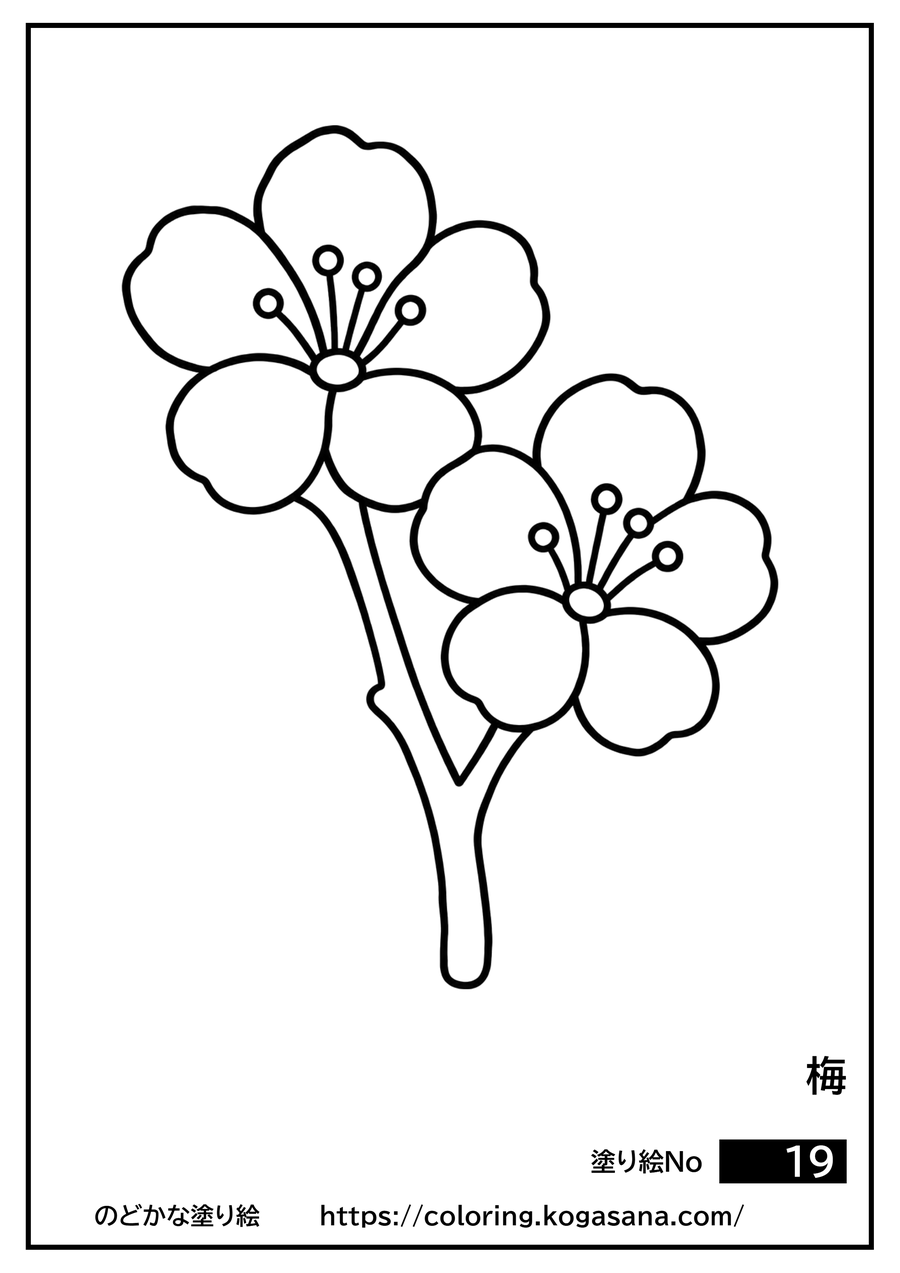 梅の塗り絵