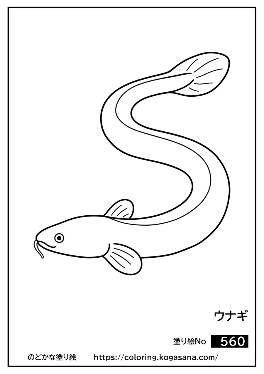 ウナギの塗り絵