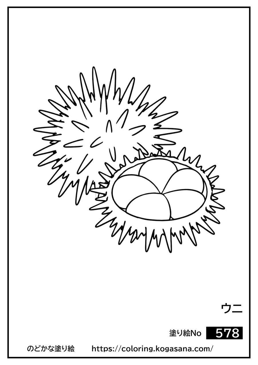 ウニの塗り絵