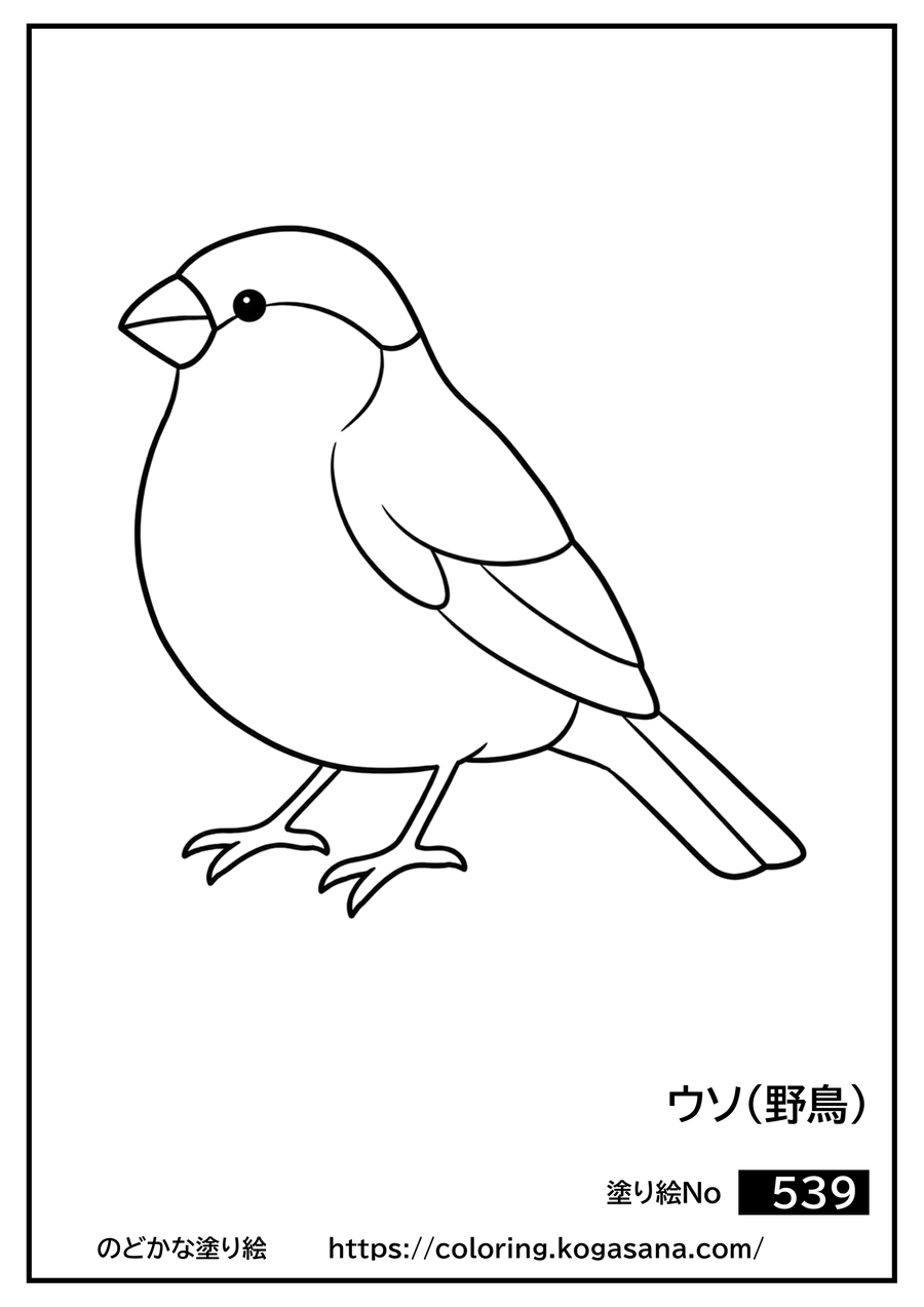 ウソ（野鳥）の塗り絵