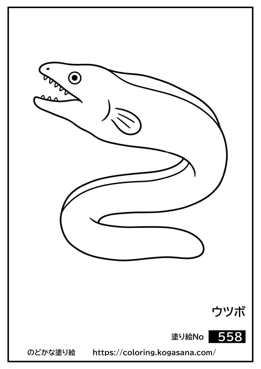 ウツボの塗り絵