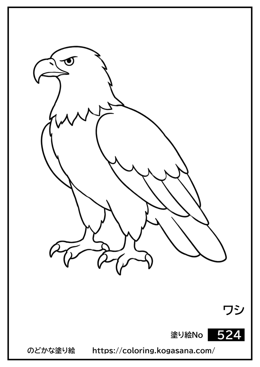 ワシの塗り絵