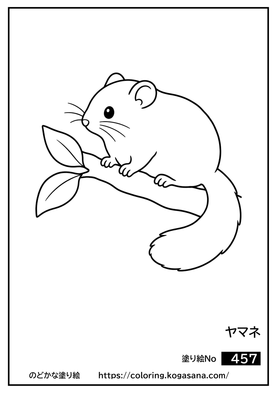 ヤマネの塗り絵