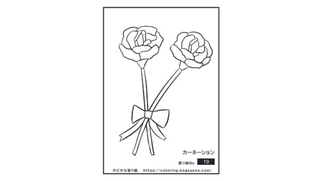 カーネーション